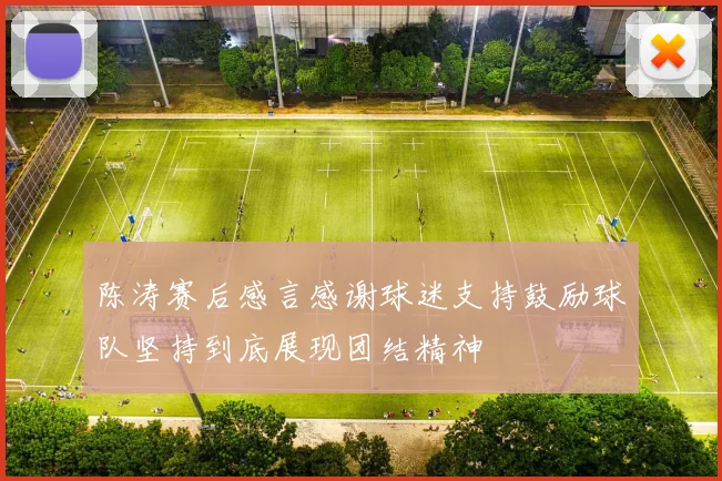 陈涛赛后感言感谢球迷支持鼓励球队坚持到底展现团结精神